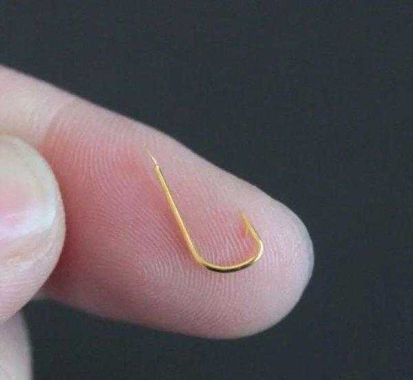 野钓用伊势尼还是伊豆