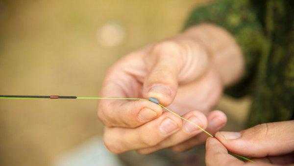 1.0主线能钓多大的鱼