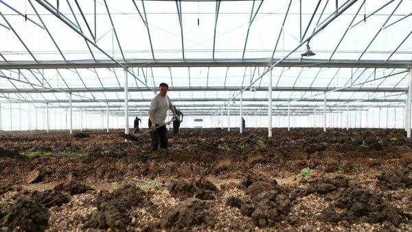 蚯蚓吃什么长得最快