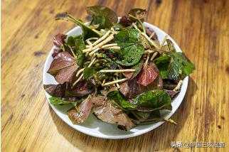 鱼腥草到底多可怕