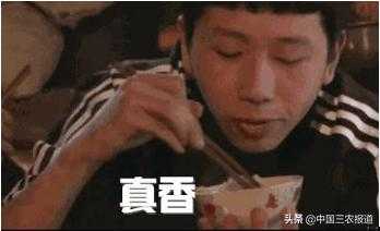 鱼腥草到底多可怕