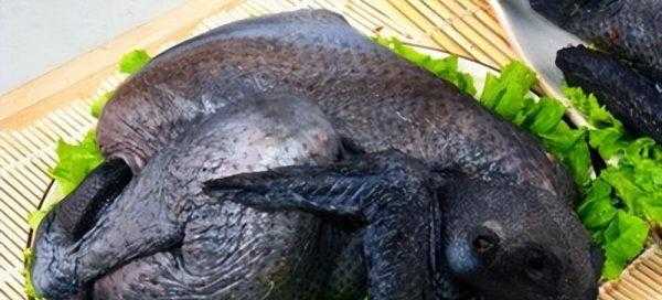 女人必吃的十大补品排名