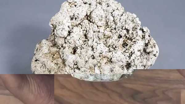 龙涎香是什么东西