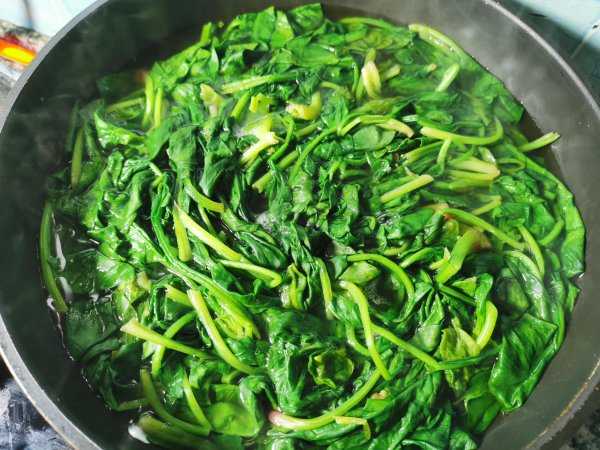 菠菜怎么保存新鲜不烂