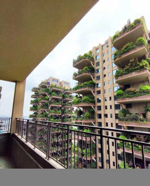 花园洋房是什么意思