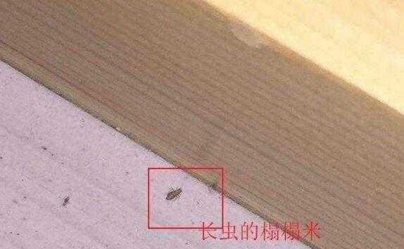 榻榻米为什么不能长期睡人