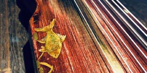 古琴的琴面一般为什么木