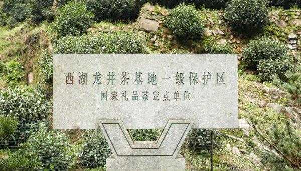 西湖龙井产地主要分布在哪里
