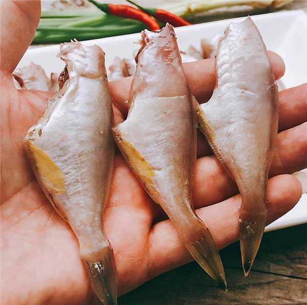 耗儿鱼是海鱼还是淡水鱼