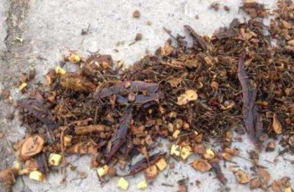 中药渣为什么倒在十字路口