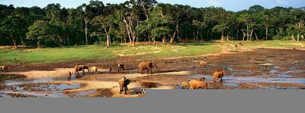 扎伊尔是哪个国家