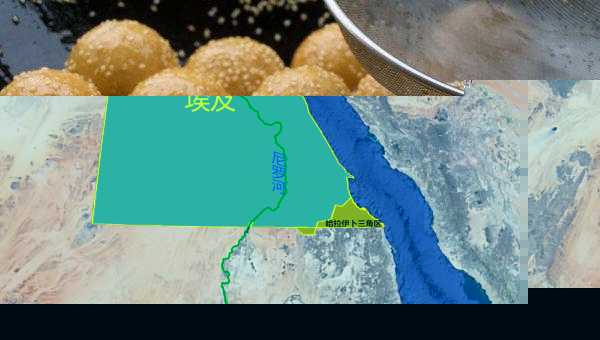 埃及属于哪个洲