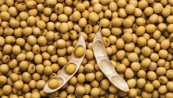 出油率的公式等于什么