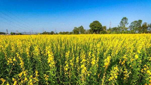 出油率的公式等于什么