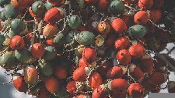 出油率的公式等于什么