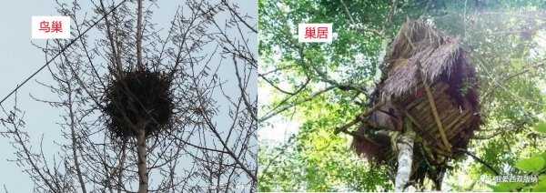 一幢和一栋的区别