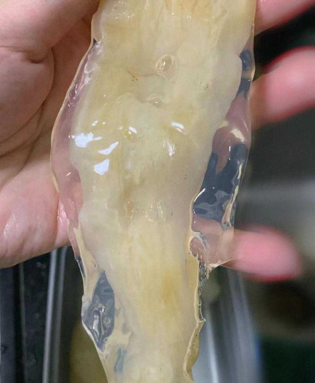 牛油果如何催熟