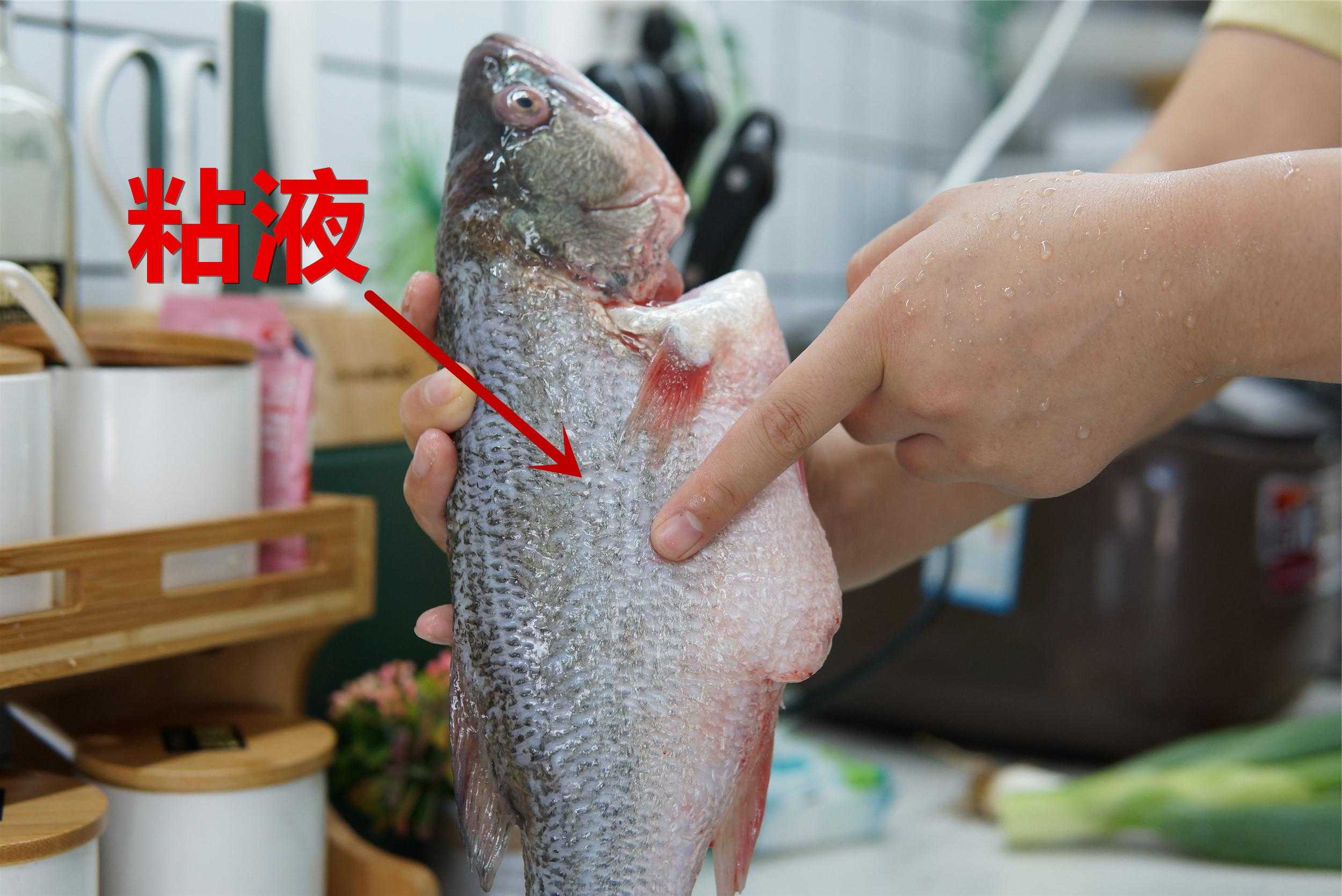 鱼怎么去腥味效果好