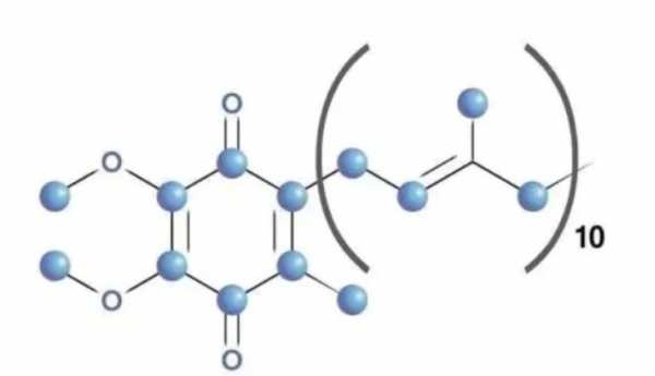 辅酶q10多少钱一瓶