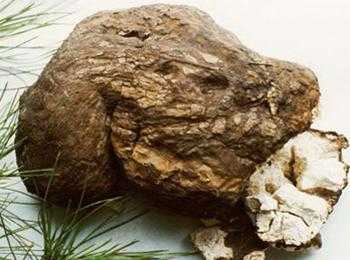 种植什么药材前景好