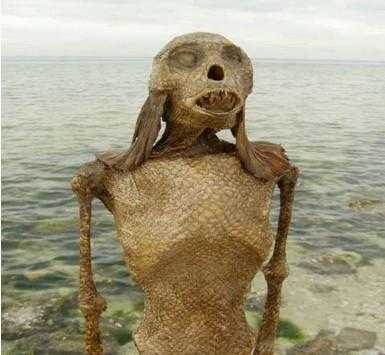 美国捕获的活黑鳞鲛人