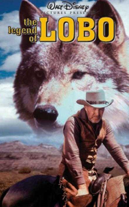 世界上最凶猛的狼王