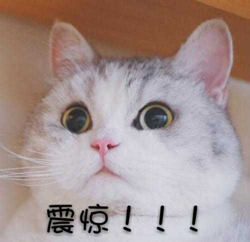 几维鸟灭绝了吗还剩多少只