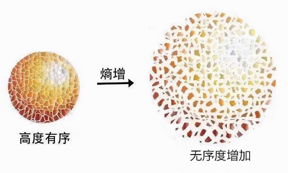 万物归于熵增什么意思