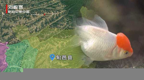 旬邑县属于哪个市