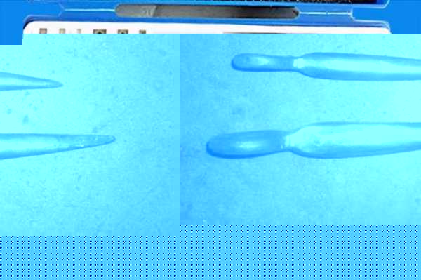 小螺丝滑丝了怎么取出来