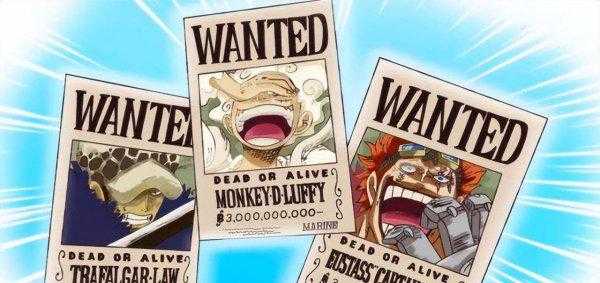 海贼王悬赏金排名前十