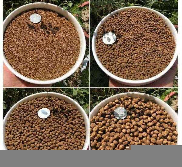 观赏鱼食过期了还能喂鱼吗