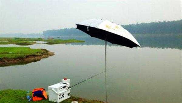 野河钓鱼怎样找鱼窝