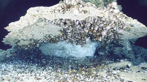 可燃冰主要化学成分是什么