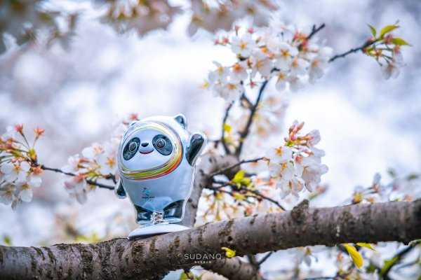 世界三大赏樱胜地是哪几个