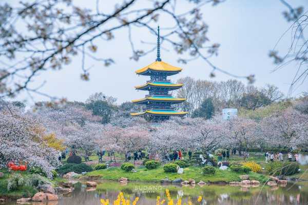 世界三大赏樱胜地是哪几个