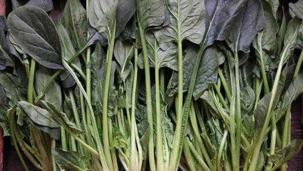 富含维生素b6的食物排行榜