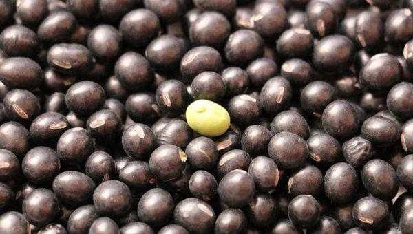 富含维生素b6的食物排行榜