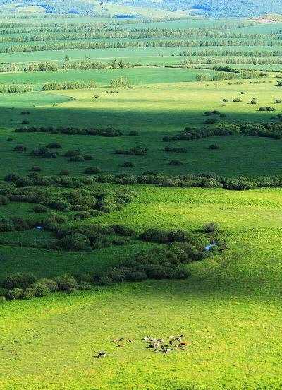 中国最凉快的十大城市