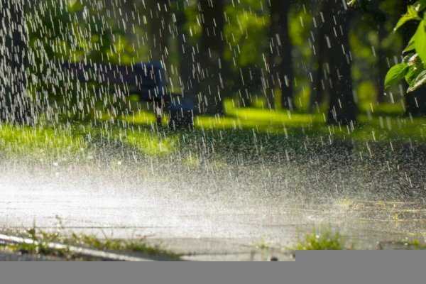 防暴雨安全知识10条