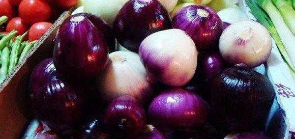 如何切洋葱不辣眼睛