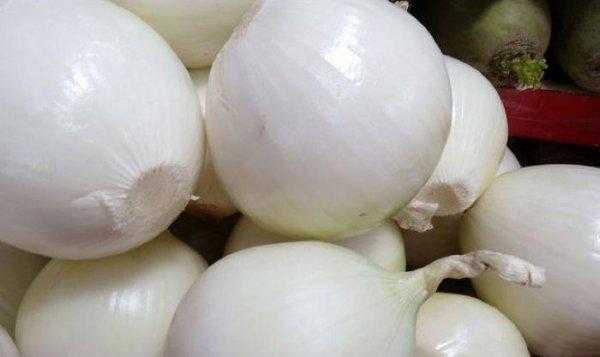 如何切洋葱不辣眼睛