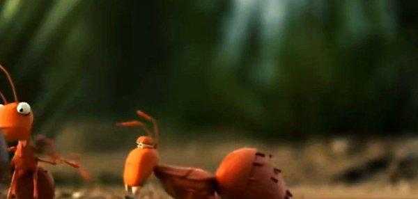 蚂蚁的特点和生活特征和外形