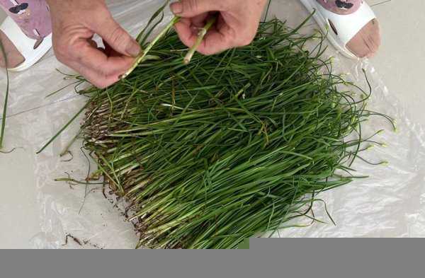 韭菜怎么冷冻长期保存