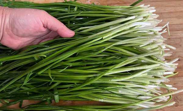 韭菜怎么冷冻长期保存