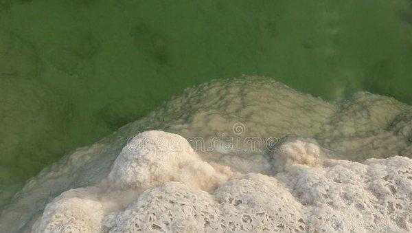 死海在哪个国家