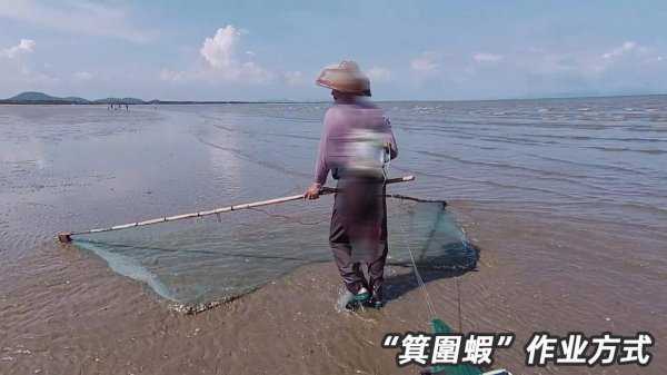 基围虾是什么虾