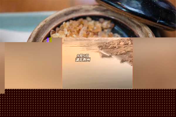 鱼为什么会跳出水面