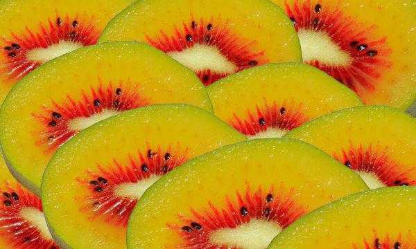 猕猴桃果实成熟期在什么时候