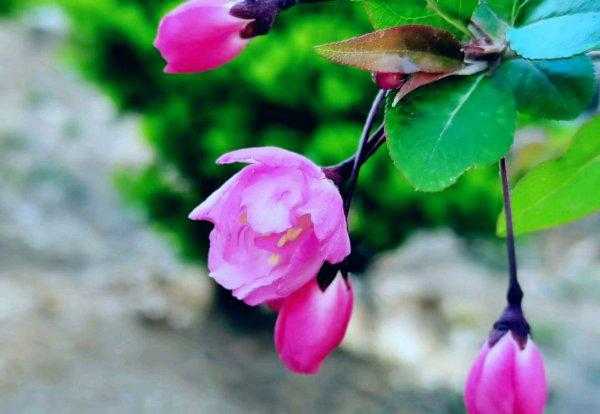 四月份是什么季节